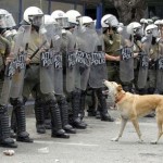 Vídeo reúne melhores momentos de “cão anarquista” da Grécia