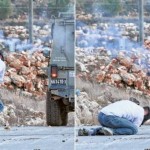 [Israel] Um bravo palestino morreu, coberto em pedras  