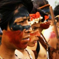[Mato Grosso do Sul] Novo ataque contra terra retomada de Tey'i Jusu, Comunidade Guarani e Kaiowá