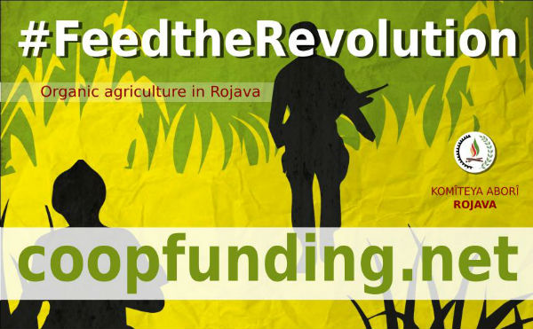 curdistao-campanha-de-crowdfunding-para-a-autoss-1