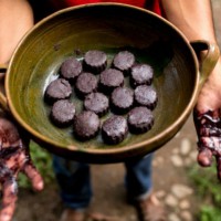 [México] Campanha de apoio: Chocolate é Rebeldia