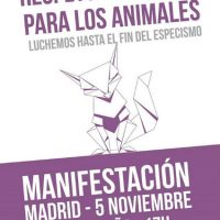 espanha-manifestacao-em-madrid-5-de-novembro-ant-2.jpg