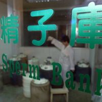 Critério para doar esperma na China é ser leal ao partido comunista