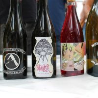 [França] Vinho orgânico libertário feito artesanalmente