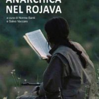 [Itália] Lançamento: "O Desafio anárquico em Rojava", de N. Santi e S. Vaccaro