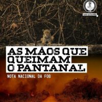 As mãos que queimam o Pantanal