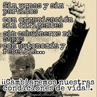 [Chile] "Continuar levantando as alternativas autônomas de luta junto com o povo"