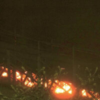 [Chile] Santiago: Reivindicação de ataque incendiário contra a arena de rodeio no distrito de Renca