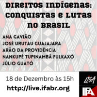 Direitos indígenas: conquistas e lutas no Brasil