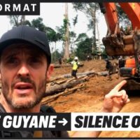 Vídeo | Floresta na Guiana Francesa: Matamos o silêncio