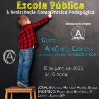 Escola Pública: A Resistência Como Prática Pedagógica