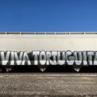 [EUA] Grafite em memória de Tortuguita