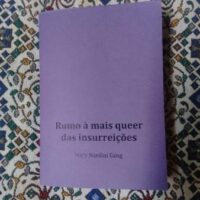 Zine | "Rumo à Mais Queer das Insurreições"