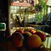 Chamado à solidariedade com o Centro Social e Biblioteca Libertária ABRA de Cuba.