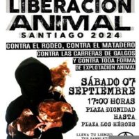 [Chile] Marcha pela Libertação Animal Santiago 2024