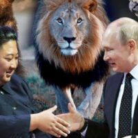 Leão, urso... Putin oferece animais selvagens a Kim Jong Um