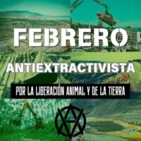 [Chile] Fevereiro Anti-extrativista "Em todos os territórios".