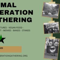 [Holanda] Encontro Internacional de Libertação Animal em Appelscha