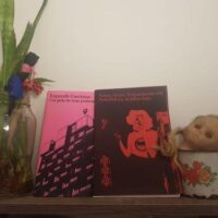 Lançamento dos zines: Expondo Fascistas & Notas Sobre Autodefesa Antifascista