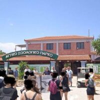 [Grécia] Relato da assembleia antiespecista aberta sobre o protesto no zoológico