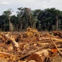O PL da Morte e a Máquina Capitalista de Destruição