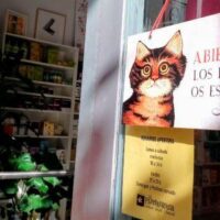 [Espanha] "Aqui tendes um lar para a revolução cultural": La Pantera Rossa conclui com sucesso sua campanha de financiamento