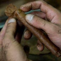 [Cuba] Prisioneiros são forçados a trabalhar como escravos para produzir exportações para a Europa