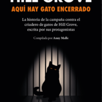 [Espanha] "Hill Grove: Aquí hay gato encerrado"