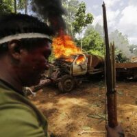 Tecendo Caminhos à Revolução Ecológica