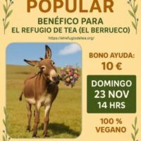 [Espanha] Comedor Popular Vegano em Apoio ao Refúgio de Tea
