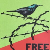 Rasura o Céu da Bala