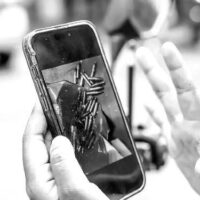 Flecheira Libertária 831 | "Sociedade e Estado é uma dupla indissolúvel"