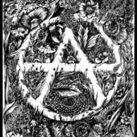 Sou a Anarquia | Émile Armand