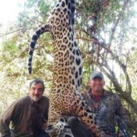 A Justiça da Bolívia encerra caso Caza & Safari: não investigará mais a empresa argentina que promovia a caça de jaguares