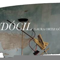Indócil, o romance rebelde de Laura Gómez Ortiz: feminismo, anarquismo e lutas sociais em Buenos Aires