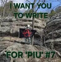 [EUA] PIU #7 buscando contribuições