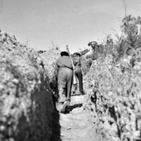 [Espanha] As caixas de fotos que sobreviveram à Guerra Civil: o olhar militante de duas mulheres na frente de Aragão