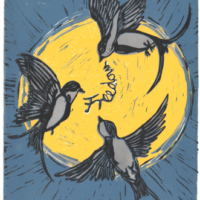 [Indonésia] Declaração de Defesa de Adit, Preso Anarquista no Caso Chaos Star