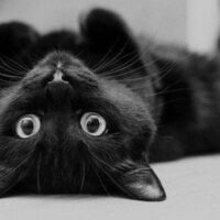 [Espanha] Dialogar ou Julgar