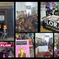 [Chile] Apoie o Espaço Anarquista Flora!