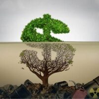 A Farsa Verde: Capitalismo, Destruição e a Necessidade de uma Ecologia Radical