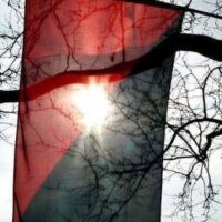 Atendimentos jurídicos de agosto de 2026