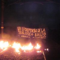 [Argentina] Em defesa da terra, sua memória arde!!! Brujo presente